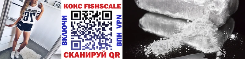 как найти   Междуреченск  Cocaine Fish Scale 