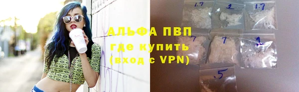 прущие грибы Арсеньев