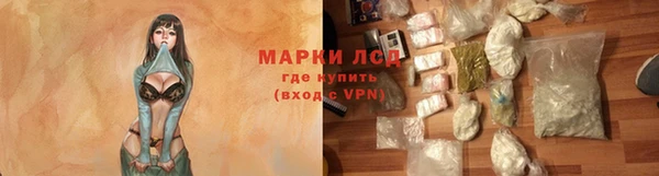 ГАЛЛЮЦИНОГЕННЫЕ ГРИБЫ Аркадак