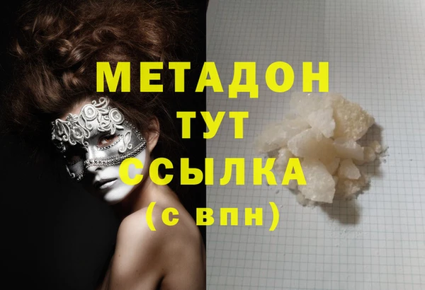 прущие грибы Арсеньев
