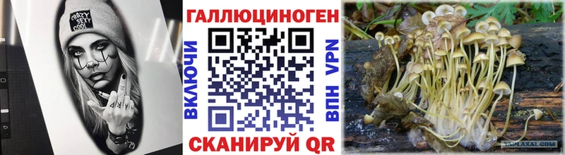 blacksprut ТОР  Междуреченск  Галлюциногенные грибы мицелий  наркота 