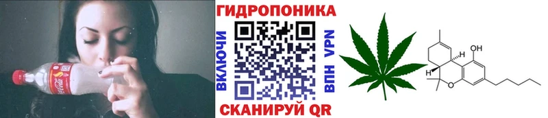 Бошки Шишки SATIVA & INDICA Междуреченск